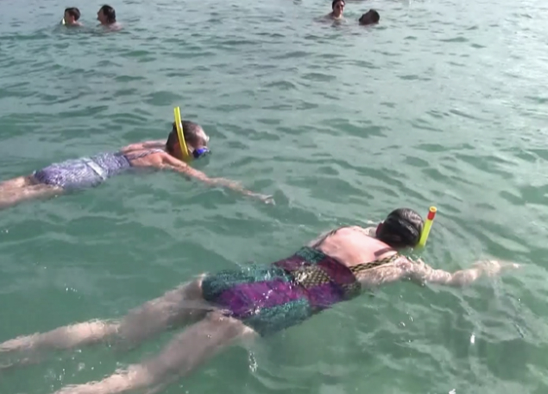 Snorkelling Tips Sea Stuff